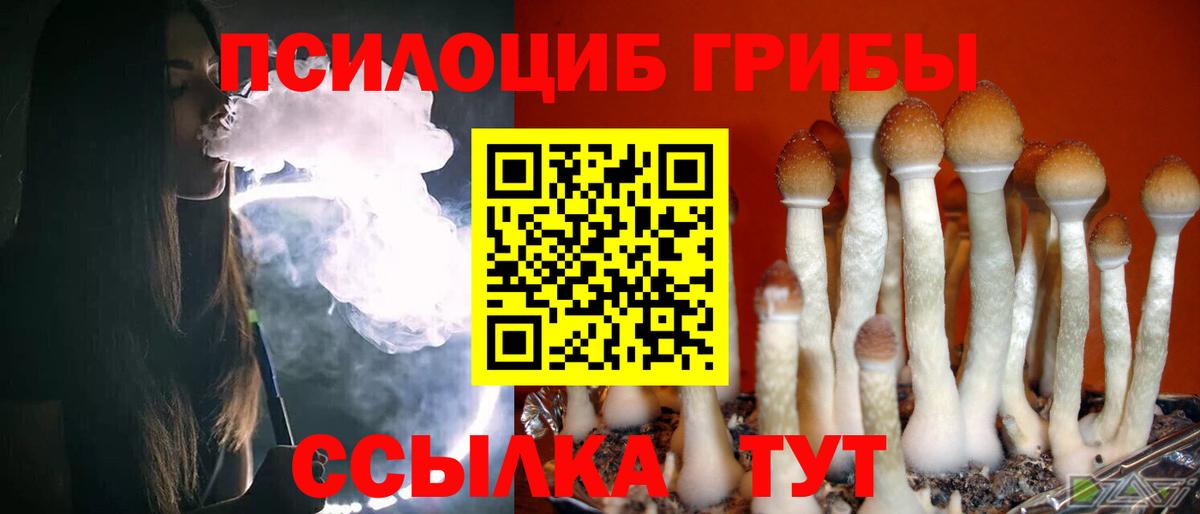 Губкинский  Псилоцибиновые грибы Cubensis  где купить наркоту  Вход с VPN 